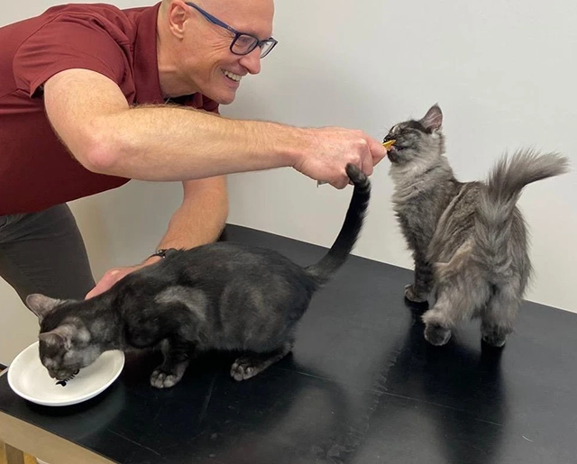 Learn about Jarden Vets