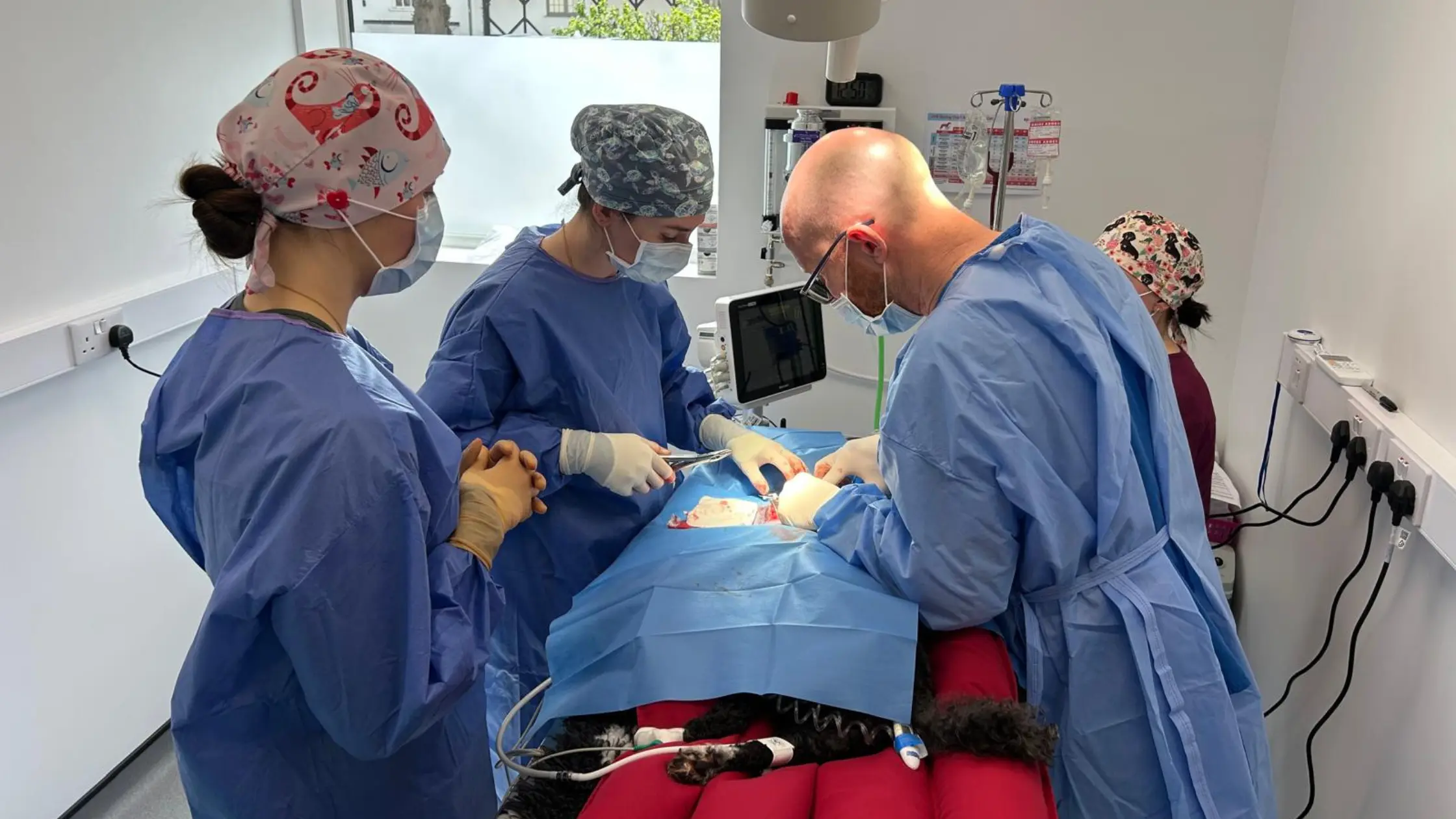 Veterinary team providing emergency care for a dog at Jarden Vets in Olney near Milton Keynes