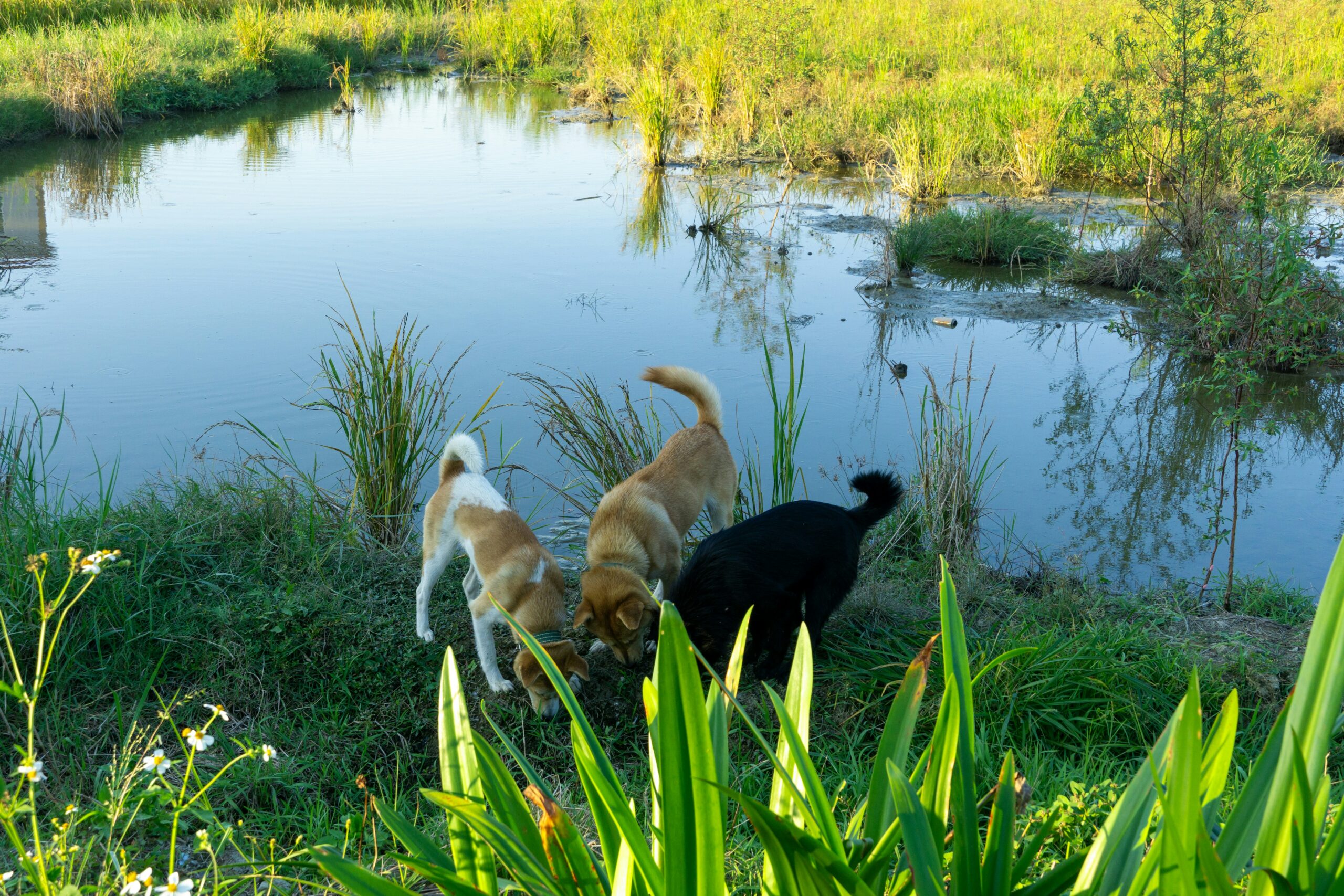 xiao-ying-qknsW8-2PeQ-unsplash