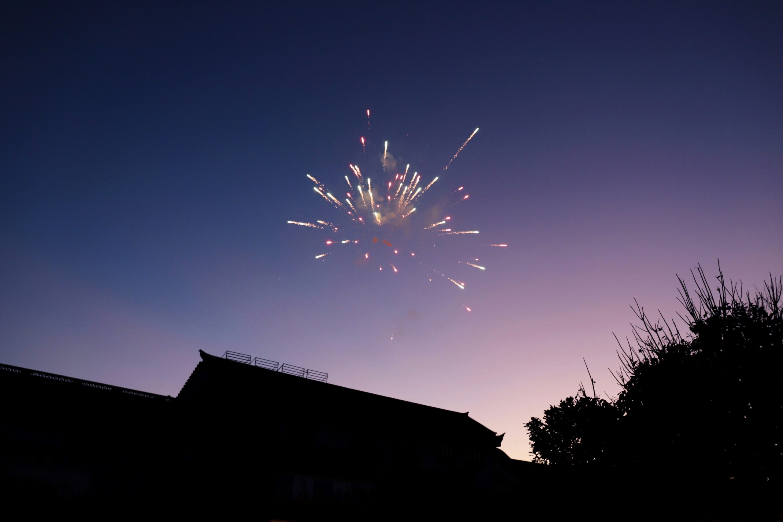 Preparing Pets for Fireworks